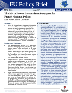 EU Policy Brief Series #17